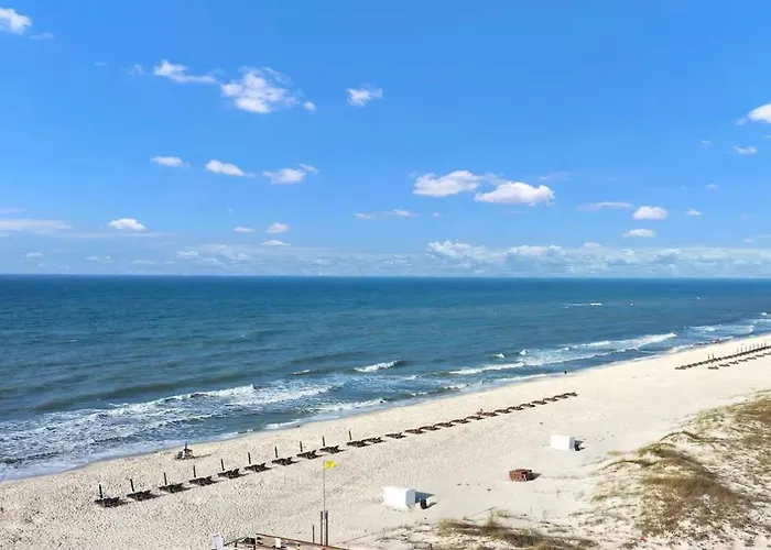 The Coastal Turtle * Gulf Shores